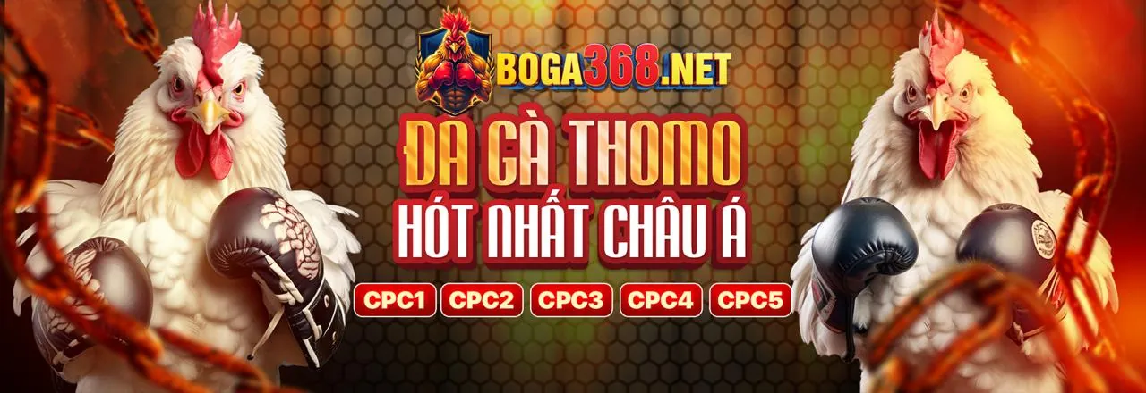 Hình ảnh chính blog fun222 app