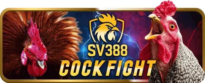 Cá cược thể thao fun222 app